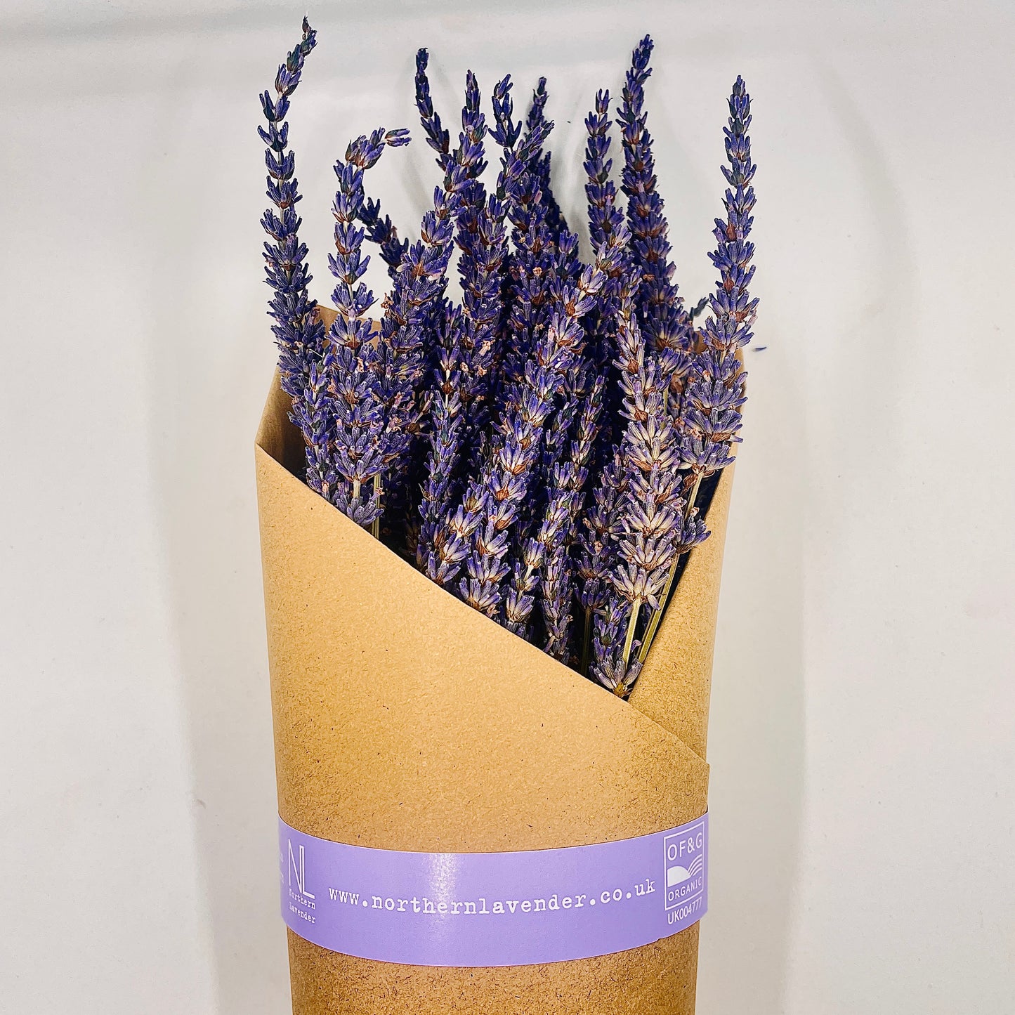 Dried lavender bunch