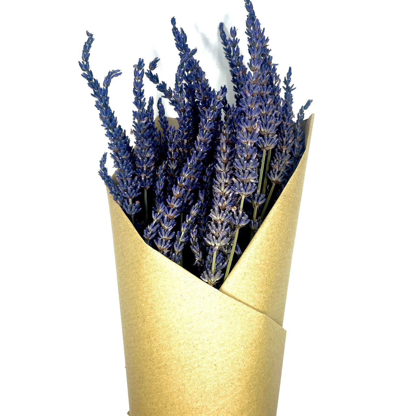 Dried lavender bunch