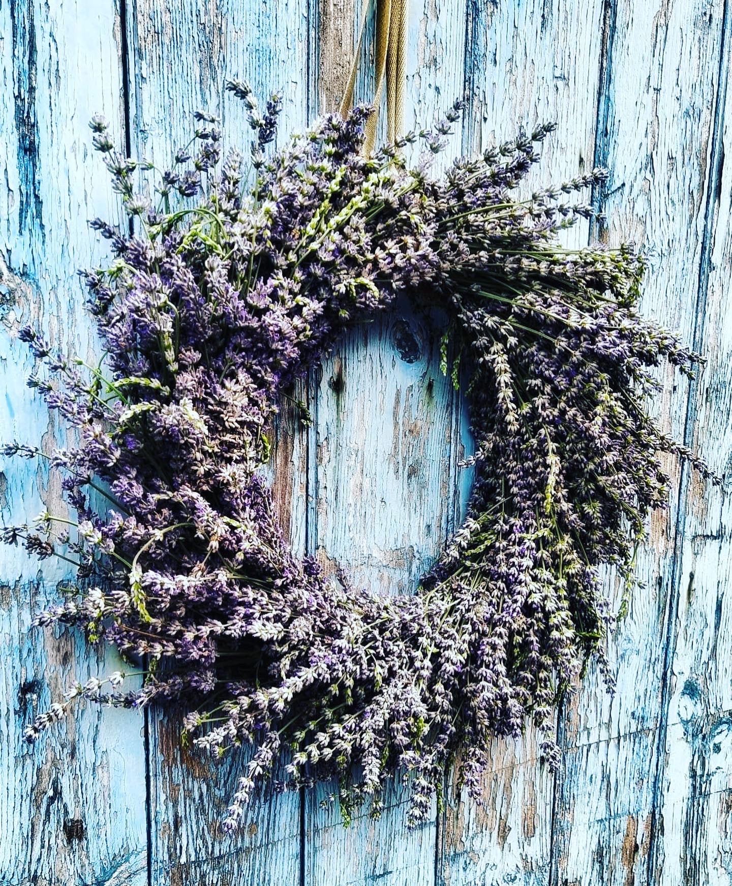 Lavender Wreath